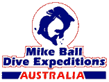 mike ball logo.bmp (18998 bytes)